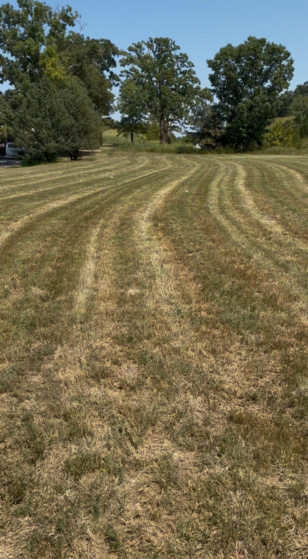 Large property after professional mowing service