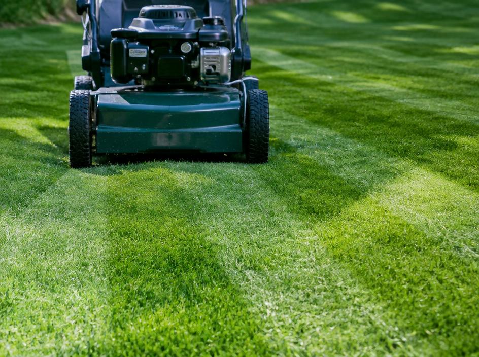Lawn Care